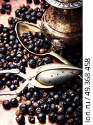 Pile of dry juniper berries. Pile of dry juniper berries prepared for healing teas and extracts. Стоковое фото, агентство Ingram Publishing / Фотобанк Лори