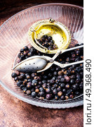Bowl of juniper berries. Pile of dry juniper berries prepared for healing teas and extracts. Стоковое фото, агентство Ingram Publishing / Фотобанк Лори