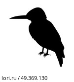 Kingfisher Flat Design Vector Illustration. Kingfisher vector. Predatory birds wildlife concept in black color. Tropical fauna illustration for prints, posters, childrens books illustrating. Beautiful kingfisher bird seating isolated on white. Стоковая иллюстрация, агентство Ingram Publishing / Фотобанк Лори