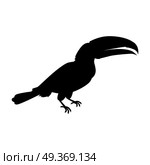 Toucan Bird Flat Design Vector Illustration. Toucan vector. Animals of rainy Amazonian forests in black color. Fauna of South America. Wild life in tropics concept for posters, childrens books illustrating. Beautiful toucan isolated on white. Стоковая иллюстрация, агентство Ingram Publishing / Фотобанк Лори