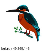 Kingfisher Flat Design Vector Illustration. Kingfisher vector. Predatory birds wildlife concept in flat style design. Tropical fauna illustration for prints, posters, childrens books illustrating. Beautiful kingfisher bird seating isolated on white. Стоковая иллюстрация, агентство Ingram Publishing / Фотобанк Лори