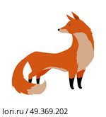 Fox flat style vector. Wild predatory animal. Middle latitudes fauna species. Beautiful red fox cartoon on white background. For nature concepts, children s books illustrating, printing materials. Fox Vector Illustration in Flat Design. Fox Vector Illustration in Flat Design. Стоковая иллюстрация, агентство Ingram Publishing / Фотобанк Лори