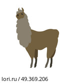 Lama flat style vector. Wild and domesticated animal. South America fauna species. For nature concepts, children s books illustrating, printing materials. Isolated on white background. Lama Vector Illustration in Flat Design. Lama Vector Illustration in Flat Design. Стоковая иллюстрация, агентство Ingram Publishing / Фотобанк Лори