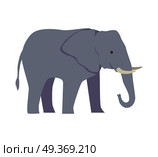 Elephant Large Cartoon Mammal Isolated on White.. Elephant large cartoon mammal isolated on white. African bush or forest elephant and Asian elephant. Has large ears, concave back, wrinkled skin, sloping abdomen. Sticker for children. Vector. Стоковая иллюстрация, агентство Ingram Publishing / Фотобанк Лори