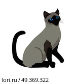 Siamese cat breed. Cute grey cat seating flat vector illustration isolated on white background. Purebred pet. Domestic friend and companion animal. For pet shop ad, animalistic hobby concept, breeding. Siamese cat Vector Flat Design Illustration. Стоковая иллюстрация, агентство Ingram Publishing / Фотобанк Лори