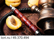 Hookah for smoking with the aroma apricot .Apricot shisha. Hookahs shisha with apricot. Стоковое фото, агентство Ingram Publishing / Фотобанк Лори