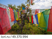 Many colorful waving prayer flags suspended between trees. Стоковое фото, агентство Ingram Publishing / Фотобанк Лори