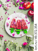 Homemade fruits and berries ice cream or popsicles on plate , decorated with garden flowers on teal rustic green table background, top view. Vintage style. Country style summer food. Стоковое фото, агентство Ingram Publishing / Фотобанк Лори