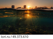 The suns rays illuminate the waters surface, creating a dazzling reflection under the clear blue sky. Стоковое AI-изображение, AI-художник Данила Большаков / Фотобанк Лори