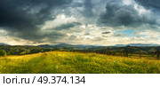 Mountain storm landscape. Dramatic overcast sky. Summer rain. Blooming summer wild flowers on plateau meadow. Стоковое фото, агентство Ingram Publishing / Фотобанк Лори