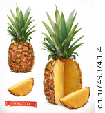 Pineapple. Fresh fruit 3d realistic vector icon. Стоковая иллюстрация, агентство Ingram Publishing / Фотобанк Лори