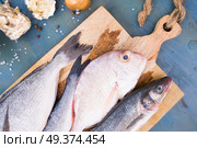 fresh sea fish preparation - dorada and seabass choise of fresh fish on cutting board. fresh sea fish preparation. Стоковое фото, агентство Ingram Publishing / Фотобанк Лори