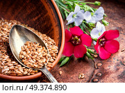 Flax seed and flax flowers in mortar. Brown flax seeds. Стоковое фото, агентство Ingram Publishing / Фотобанк Лори