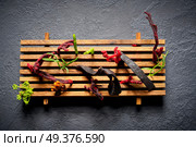 codium seaweed salad modern cuisine with marine fennel and colorful algae. Стоковое фото, агентство Ingram Publishing / Фотобанк Лори