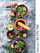 Wild healing herbs thistle in mortar.Herbal medicine.. Onopordum.Herbalism.Thistle. Стоковое фото, агентство Ingram Publishing / Фотобанк Лори
