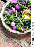 Wild healing herbs thistle in mortar.Herbal medicine.. Onopordum and herbalism.Thistle. Стоковое фото, агентство Ingram Publishing / Фотобанк Лори