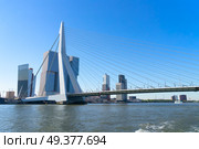 Rotterdam port skyline at sunny summer day, Netherlands. Rotterdam skyline, Netherlands. Стоковое фото, агентство Ingram Publishing / Фотобанк Лори
