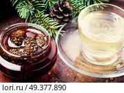 Healthy medicinal jam from pine cones for tea.Natural Medicine. Jam from pine cones for tea. Стоковое фото, агентство Ingram Publishing / Фотобанк Лори