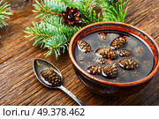 Homemade medicinal jam from pine cones.Natural Medicine. Jam from pine cones. Стоковое фото, агентство Ingram Publishing / Фотобанк Лори
