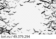 Black silhouette of bats isolated on transparent background. Halloween traditional design element. Vector illustration EPS10. Black silhouette of bats isolated on transparent background. Halloween traditional design element. Vector illustration. Стоковая иллюстрация, агентство Ingram Publishing / Фотобанк Лори
