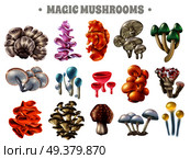 Set of magic mushrooms of various shape and color with bubbles and red droplets isolated vector illustration. Magic Mushrooms Set. Стоковая иллюстрация, агентство Ingram Publishing / Фотобанк Лори