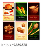 Set of vertical cards with cane sugar in various shape, green leaves, wooden dishware isolated vector illustration  . Cane Sugar Vertical Cards. Стоковая иллюстрация, агентство Ingram Publishing / Фотобанк Лори