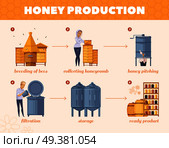 Apiary honey production cartoon flowchart poster from  bees breeding collecting honeycombs to storage infographic composition vector illustration . Honey Production Process Cartoon Flowchart . Стоковая иллюстрация, агентство Ingram Publishing / Фотобанк Лори