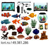 Aquaristics cartoon set with aquarium fishes corals stones seaweeds seashells and aquarium tanks of different shapes vector illustration. Aquaristics And Aquarium Fishes Set . Стоковая иллюстрация, агентство Ingram Publishing / Фотобанк Лори