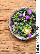 Wild healing herbs thistle in mortar.Herbal medicine.Herbalism. Onopordum and herbalism.Thistle. Стоковое фото, агентство Ingram Publishing / Фотобанк Лори