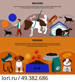 Set of two flat pictorial horizontal banners with dogs fetch walking and feeding accessories and products vector illustration. Dogs Walking Feeding Banners . Стоковая иллюстрация, агентство Ingram Publishing / Фотобанк Лори
