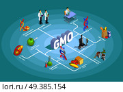 Genetically modified organisms isometric flowchart on turquoise background with dna, research, organic food, gmo goods vector illustration. Genetically Modified Organisms Isometric Flowchart. Стоковая иллюстрация, агентство Ingram Publishing / Фотобанк Лори