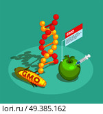 GMO food isometric composition on turquoise background with dna molecule, genetically modified corn and apple vector illustration. GMO Food Isometric Composition. Стоковая иллюстрация, агентство Ingram Publishing / Фотобанк Лори