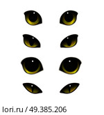 Cat emotions eyes realistic set of isolated images with open and half-closed feline eyes vector illustration. Cats Eyes Realistic Set. Стоковая иллюстрация, агентство Ingram Publishing / Фотобанк Лори