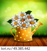 Armful of Daisy realistic composition with bouquet of chamomiles in yellow colorful watering can vector illustration. Armful Of Daisy Realistic Composition. Стоковая иллюстрация, агентство Ingram Publishing / Фотобанк Лори