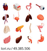 Human organs anatomy isometric icons collection with heart liver lungs brain stomach bladder intestine isolated vector illustration . Human Organs Isometric Icons . Стоковая иллюстрация, агентство Ingram Publishing / Фотобанк Лори