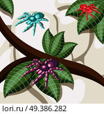 Exotic insect isometric background with colorful spiders sitting on tropic tree leaves cartoon vector illustration. Exotic Insect Isometric Background. Стоковая иллюстрация, агентство Ingram Publishing / Фотобанк Лори
