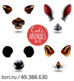 Isolated cute animal faces icon set with four different cartoon muzzles on white background vector illustration. Cute Animal Faces Icon Set. Стоковая иллюстрация, агентство Ingram Publishing / Фотобанк Лори