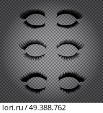 Set of realistic false lashes for upper and lower eye lids isolated on transparent background vector illustration. Realistic False Eye Lashes Set. Стоковая иллюстрация, агентство Ingram Publishing / Фотобанк Лори