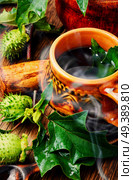 healing drink of herbs medicinal datura.Herbs medicine. Natural herbs medicine,datura. Стоковое фото, агентство Ingram Publishing / Фотобанк Лори