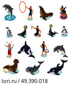 Sea circus isometric icons set of seals walrus penguins dolphin killer whale animal trainers and juggling clown isolated vector illustration  . Sea Circus Isometric Icons. Стоковая иллюстрация, агентство Ingram Publishing / Фотобанк Лори
