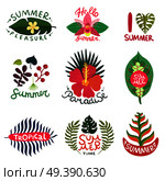 Flat set of colorful summer emblems with different tropical plants isolated on white background vector illustration. Tropical Plants Emblems Set. Стоковая иллюстрация, агентство Ingram Publishing / Фотобанк Лори