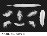 White Feathers Transparent Set. Стоковая иллюстрация, агентство Ingram Publishing / Фотобанк Лори