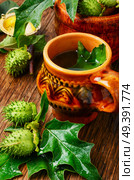 healing drink of herbs medicinal datura.Herbs medicine. Natural herbs medicine,datura. Стоковое фото, агентство Ingram Publishing / Фотобанк Лори