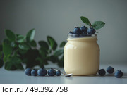 Creamy dessert topped with fresh blueberries in a serene setting. Сливочный десерт со свежей черникой в безмятежной обстановке. Стоковое AI-изображение, AI-художник Katsiaryna Repich / Фотобанк Лори