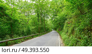 Covadonga road forest in Asturias Picos Europa mountains Spain. Стоковое фото, агентство Ingram Publishing / Фотобанк Лори