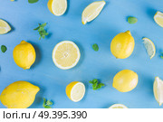 Fresh lemon citrus fruits pattern on blue bakground. Fresh lemon fruits. Стоковое фото, агентство Ingram Publishing / Фотобанк Лори