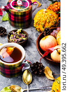 Teacup on an autumn background of fallen leaves and apples .Autumn postcard. Autumn still life with tea cups. Стоковое фото, агентство Ingram Publishing / Фотобанк Лори