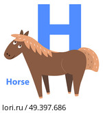 Cute brown horse on alphabet icon flat design on white background. Big letter H above cheerful equine in cartoon style. Vector illustration of primary or preschool education graphic figure for web.. Cute Brown Horse on Alphabet Icon Flat Design. Стоковая иллюстрация, агентство Ingram Publishing / Фотобанк Лори