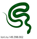 Curved slither python top view icon. Creeping glossy, green spotted tropical snake vector isolated on white background. Crawling poisonous reptile illustration for wild nature concepts, zoo ad. Стоковая иллюстрация, агентство Ingram Publishing / Фотобанк Лори