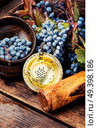 Mortar with healing berries in herbal medicine.Health diet.Herbalism.Herbalist. Berries in herbal medicine. Стоковое фото, агентство Ingram Publishing / Фотобанк Лори